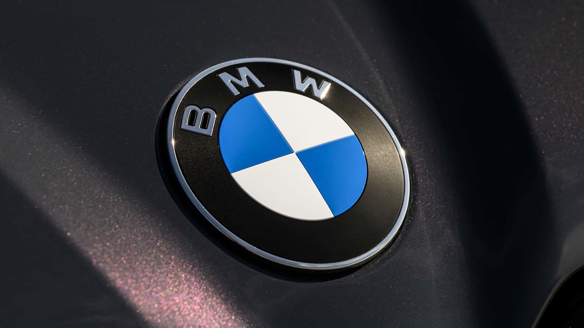 BMW promenio logo